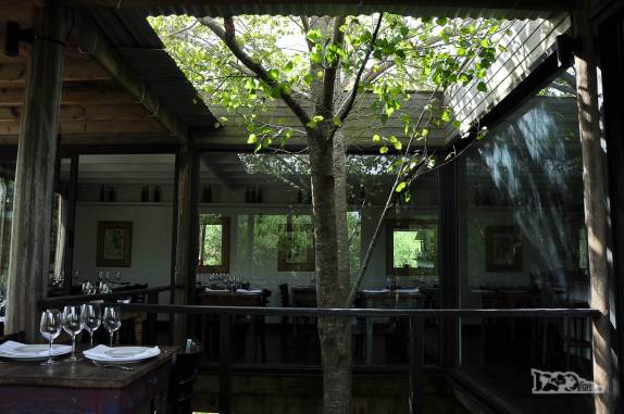 Dentro do restaurante, tem até espaço para uma árvore crescer! (em Punta del Este, no litoral do Uruguai)